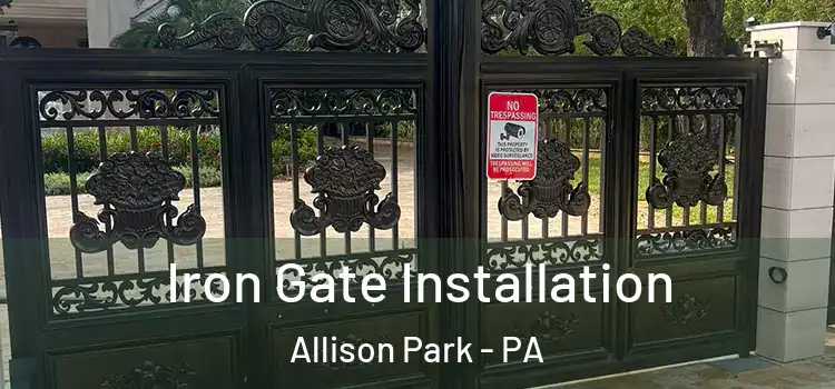 Iron Gate Installation Allison Park - PA